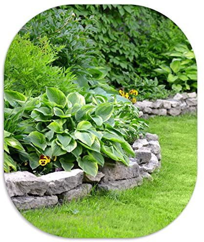 LF LOIAAFEL Mouse Mat, Non-Slip Small Mouse Pad, Mini Mousepads Cute, Rubber Mouse Pads Green Tree Portable for Travel Working Home Desk Organiser