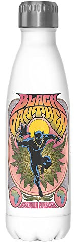 Marvel Classic Black Panther Gig 17 oz Stainless Steel Water Bottle, 17 Ounce, Multicolored