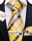 DiBanGu Silk Woven Necktie for Men Yellow Check Plaid Ties Pocket Square Cufflinks and Tie Clips Set Party