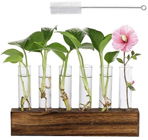 mumisuto Hydroponik Glasvase, Reagenzglas Vase für Hydrokultur Pflanzen mit Holzständer, Blumenvase Vintage Kleine Vasen, Propagation Station Wandvase Für Hause Büro Wohnzimmer