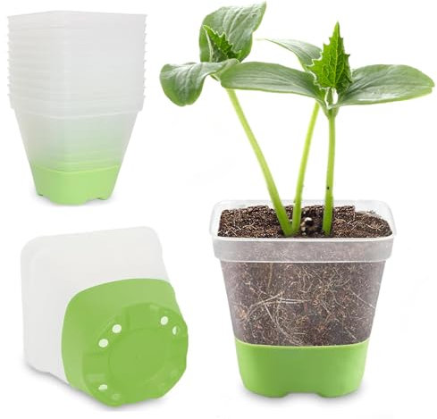 12 Pcs 3 Inch Square Plastic Nursery Pots, Clear Plant Pot with Soft Silicone Base for Easy Transplant, Flower Pots with Drainage Holes, Reusable Seedling Pots Starter Pots