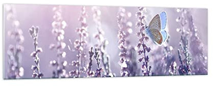 Panorama Bilder auf Glas 160x50cm Glasbild Schmetterling Wiese Blume Groß XXL Wanddeko Bild im Glas Schlafzimmer Küche Wandbilder Dekoration Wohnzimmer Modern Wand Kunstdruck Art GAB160x50-4014