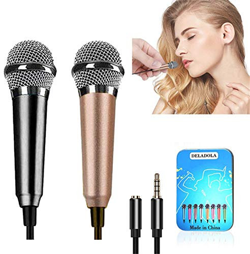 DELADOLA (2pack) Mini Microphone Tiny Microphone for Mobile Phone Laptop Notebook Apple iPhone Sumsung Android(Silver+Rose Gold)