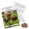 Semillas de aciano (Centaurea cyanus) – Hermosas flores luminosas con largo tiempo de floración para un prado colorido (negro, 1000 grano, 80 cm)