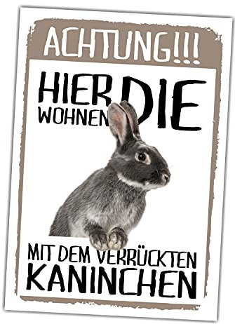 siviwonder Achtung Kaninchen hier wohnen Schild lustig mit Spruch Türschild Warnschild Fun Metallschild 20cm x 14cm x 0.3cm Aluminium