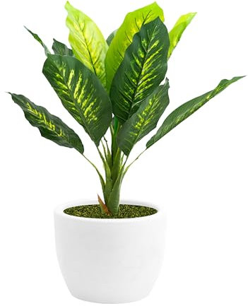 NICOLI - Maceta de Resina Giratoria Macetas Grandes Jardineras para Interior y Exterior, Diámetro de 30 – 40 – 50 – 60 cm (40 cm con Dieffembachia 90 cm), Color Blanco
