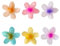 Lot de 6 Pince Cheveux Fleur,Pince Fleur Cheveux,Pinces à Forme de Fleur,Pour éPais,Fins Et éPais,Accessoires HawaïEns Pour éPais,Cadeaux Pour Femmes, Adolescentes Et Filles