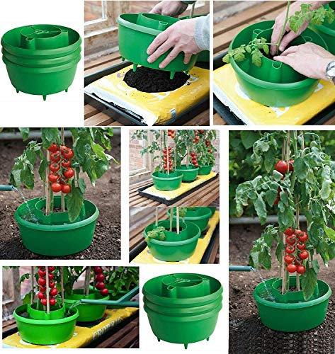 Optimal Products Green Plant Halos 3 x Pots Watering Crop Support 29cm Dia and 13cm (H) (GREEN PACK OF 3)