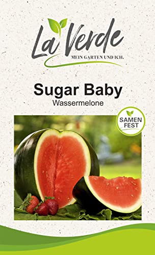Sugar Baby Melonensamen