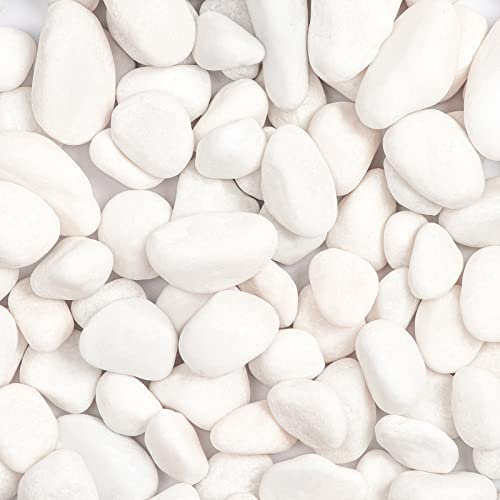 Ausluru 5.0 kg River Rocks Polierte Kieselsteine für Pflanzen Garten Dekorative Steine, ideal für Aquarien, Vasen, Sukkulenten, Basteln, groß, Schneeweiß