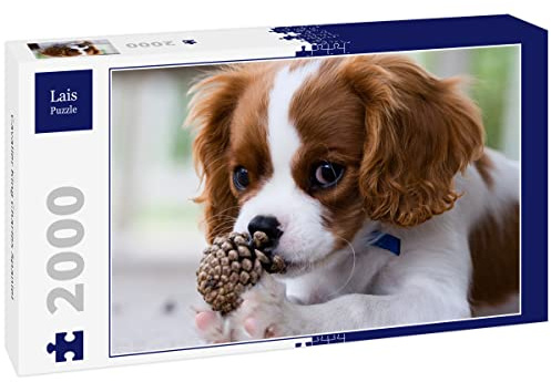 Lais Puzzle Cavalier King Charles Spaniel 2000 Teile