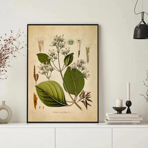 Yangld Vintage Heilpflanzen, botanische Illustration, Reproduktion, Leinwand-Poster und Drucke, Wandbilder, Heim- und Raumdekoration, 40 x 60 cm, ohne Rahmen