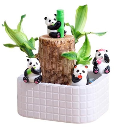 Bois Brésilien Porte-Bonheur, Bois Facile à Cultiver, Plante d'intérieur, D'intérieur Décorations, Ornements de Panda, Souche en Bois,Plante Hydroponique en Bois, Naturelle Verte