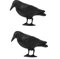 rg-vertrieb Taubenschreck Vogelscheuche Taubenabwehr Vogelabwehr Vogel stehende Krähe Rabe Vogelschreck (2 Stück)