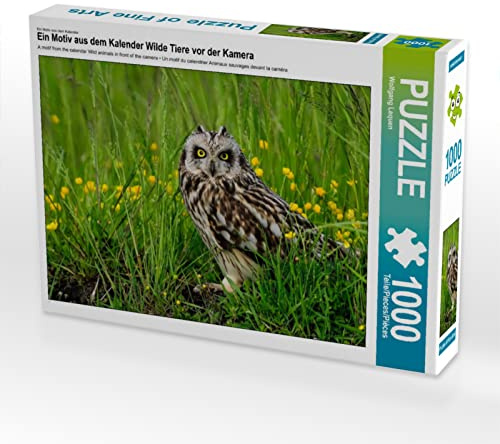 CALVENDO Puzzle Wilde Tiere vor der Kamera 1000 Teile Lege-Größe 64 x 48 cm Foto-Puzzle Bild von Wolfgang Lequen