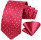HISDERN Krawatte Rot Herren Krawatten mit Einstecktuch Punkte Krawatte Hochzeit und Taschentuch Set