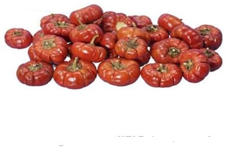 RiloStore 50 STK Dekokürbis echte getrocknete Kürbisse 4-6cm orange Herbstdeko Halloween Naturdeko Kürbisdeko Herbst Dekoration Basteln Sommer Erntedank Allerheiligen Exoten Trockendeko