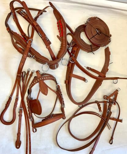 Ensemble de harnais de conduite pour chariot de cheval en nylon de qualité supérieure, marron, matériel équestre complet avec rênes et bride pour poney, cob, complet et Shetland (Shetland)