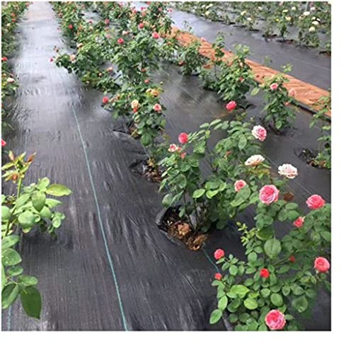 Kunststoff Garten Gemüse Mulch Film, Landwirtschaft Anti Gras Tuch Schwarz Kunststoff Mulch Film, für Garten Unkraut Kontrolle Staub Abbaubare Unkraut Tuch(1m X 10m)