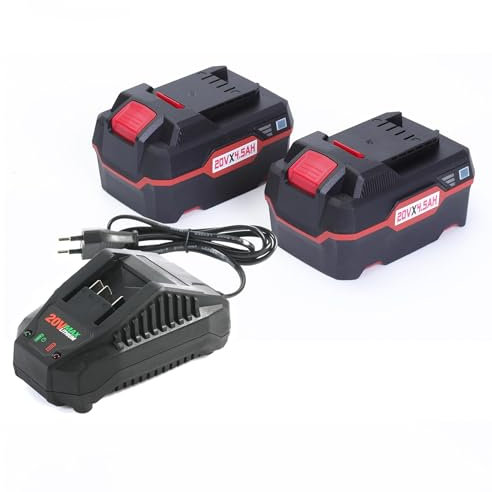 HHiMXPO 2X 20V 4.3Ah Remplacement Li-ION Batterie 1x 21V 2.4Amp Chargeur Rapide Compatible avec Les Parkside 20V Li-ION Outil
