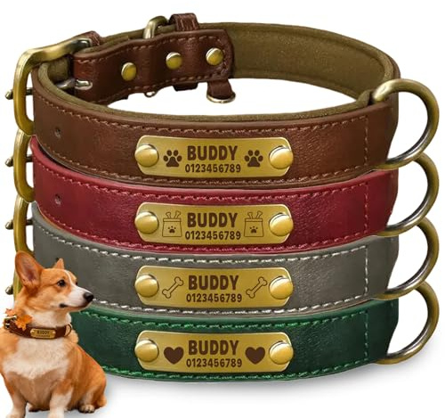 Personalised Genuine Leather Dog Collar - XS, S, M, L, XL for Small, Medium, Large Dogs, Soft Padded & Adjustable Heavy Duty Leather Dog Collars with Custom Engraved Name Plate (M)