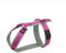 anny-x Brustgeschirr Fun grau pink (L)