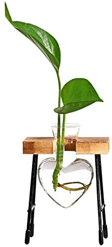 Aibyks Pflanzenvermehrungsstation Terrarium, Tischkübel aus Glas mit Holzständer für Hydrokultur, Blumenzwiebel-Vase-Herz-Pflanzenterrarium für Home-