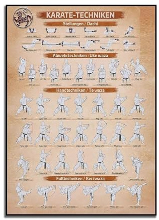 SHINERING Vintage Karate-Technik-Poster, Karate- Und Kampfkunst-Wandkunst, Karate-Lehrer-Geschenk, Kampfkünstler-Geschenk, Karate-Lehrer-Geschenk 30Cmx40Cm Kein Rahmen