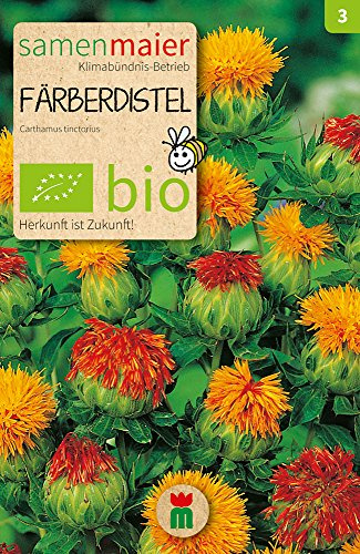 BIO Färberdistel Samen - Einjährig, Blüte in gelb bis rot-orange, Höhe ca. 50 cm, Aussaat April-Mai, Inhalt reicht für ca. 25 Pflanzen - Samen Maier