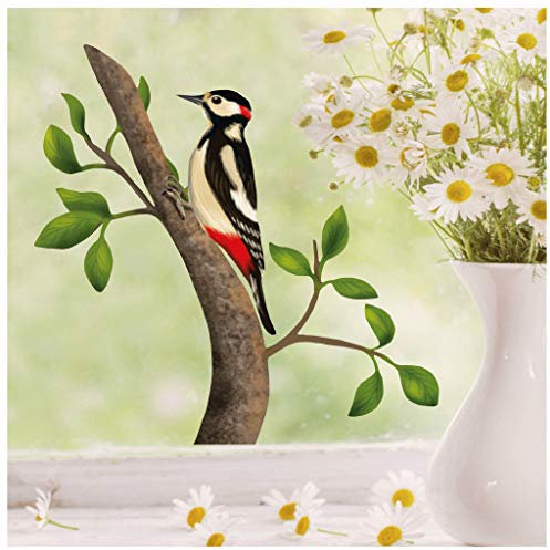 Wandtattoo Loft Fensterbilder Frühling Specht Motiv – A4 Bogen, Wiederverwendbar – Frühlingsdeko Fenster Kinderzimmer, Frühlingsbild Fenster, Fensterdeko Frühling, Fensterfolie Frühling Selbstklebend