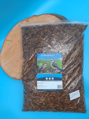 1 kg Getrocknete Mehlwürmer Futterbauer – 100% Naturfutter für Wildvögel, Fische & Igel | Proteinreiches Premiumfutter ohne Zusätze | Ideal als Vogelfutter, Fischfutter & Igelfutter