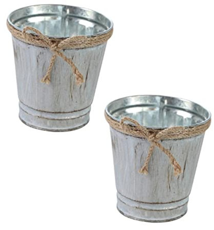ANDRESLAD 2 Pz Vaso da fiori con secchio di in corda di succulento vaso d'epoca brocca fioriere all'aperto spalliera retro fioriera in ferro contenitore di piante ferro da stiro