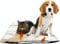 Fellou Heizdecke Katze 60 x 40 cm - Selbstheizende Decke Katze - Waschbar & Knisterfrei - Wärmedecke Katze - Heizmatte Katze