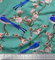 Soimoi Grun Georgette Viskose Stoff Blute & Paradies whydah Vogel Stoff Meterware 42 Zoll breit