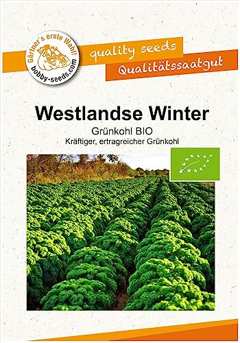BIO-Kohlsamen Westlandse Winter Grünkohl Portion