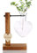 Tuzsocr Vase aus Glas, transparent, in Herzform, Vermehrungsstation für Hydrokulturen für Garten, Pflanzgefäße mit Halterung, grüne Wasserpflanzen für Haus und Küche (Stil 1)