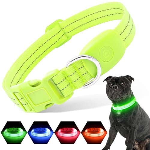 PZRLit Leuchthalsband Hund Aufladbar, Hundehalsband Leuchtend für Klein Mittel große Hunde, Einstellbar LED Halsband für Hunde für Nacht Sicherheit (Grün, Groß)