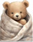 Kuschelbär Motiv Holzkarte - Bärchen Decke Geburtstagskarte | Niedliche Baby Deko, Bärchen Geschenk, Süßes Geschenk Baby, Lustige Geschenkidee mit Bärchen Motiv, Süßes Geschenk für Neugeborene