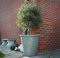 Outdoor Classic Olive Planter | Ceramic Look Round Plastic Flower Pot With Glossy Finish | Frost & UV Resistant Traditional Garden Plant Pot| Dia: 40cm, 50cm & Square | Grey (1, 50cm XL Round)
