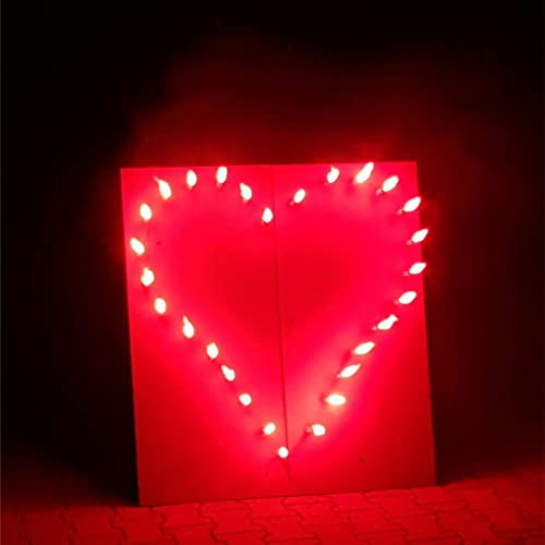 Krause & Sohn Rotes Herz Lichterbild Brennendes Herz