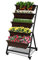Vertikales Hochbeet mit 5 Etagen, Blumenbeet mit Pflanzkästen, Leichtgewicht Blumentreppe Balkon, für Blumen, Kräuter, Gemüse, 66 x 66 x 130 cm