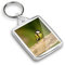Destination Vinyl ltd 1 x IP02 Rectangle Passport Keyring Photo Great Tit Small Garden Bird Europe |Keychain|Keyring|Charm| #51073