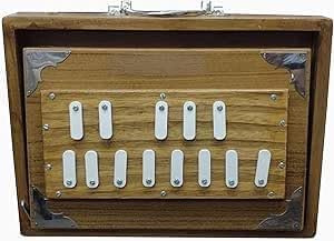 Amilav Collections 30,5 cm Teakholz Shruti Box Musikinstrument Shruti Box mit Tasche Surpeti 440Hz gestimmt