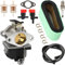 ZAMDOE Carburateur 640065 640065A pour Tecumseh OHV110 OHV115 OHV120 HV125 OHV130 OVH135 OV358EA 13.5HP 14HP 15HP moteurs de tondeuse à gazon, avec joint filtre à Air ligne de carburant