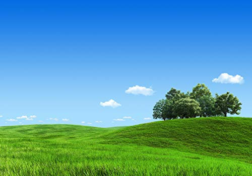 wandmotiv24 Fototapete Grün Wiese Baum Himmel Grass, 200 x 140cm - selbstklebende Vliestapete 150g, Wanddeko, Wandbild, Wandtapete, M4807