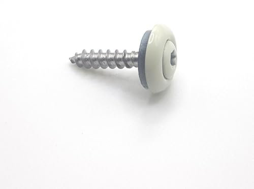 Vis de rive 4,5x25 mm RAL 9010 blanc pur Inox A2 avec EPDM 15mm Tx par 50