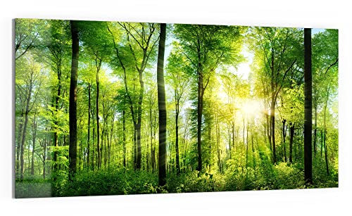 DEQORI Glasbild Echtglas | Motiv Sonne durchbricht Wald | horizontal einteilig 100x50 cm | schöne Dekoration | Wandbild für Wohnzimmer, Schlafzimmer, Flur & Küche | moderne Wanddeko