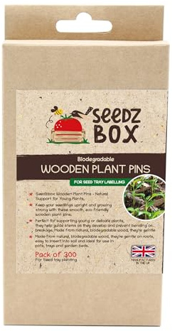 Pflanzenetiketten aus Holz für Außen- und Zimmerpflanzen – 300 x Premium Birke Sämling Pflanzenetiketten – Markieren Sie mit Bleistift-Kugelschreiber oder Markerstift – weniger Verschmieren – Seedzbox