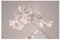 Bilderwelten Fototapete Blumen 255cm x 384cm Modern Natur Hortensie Blumentapete Vliestapete Tapete Wanddeko Ideen Wohnzimmer Schlafzimmer Küche
