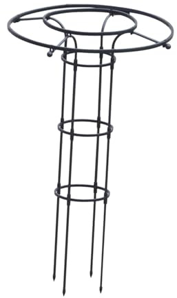 Garten Obelisk Rankgitter Vertikal Schirm Rankgitter Turm Rahmen für Rosen Reben 120cm Höhe Schwarz